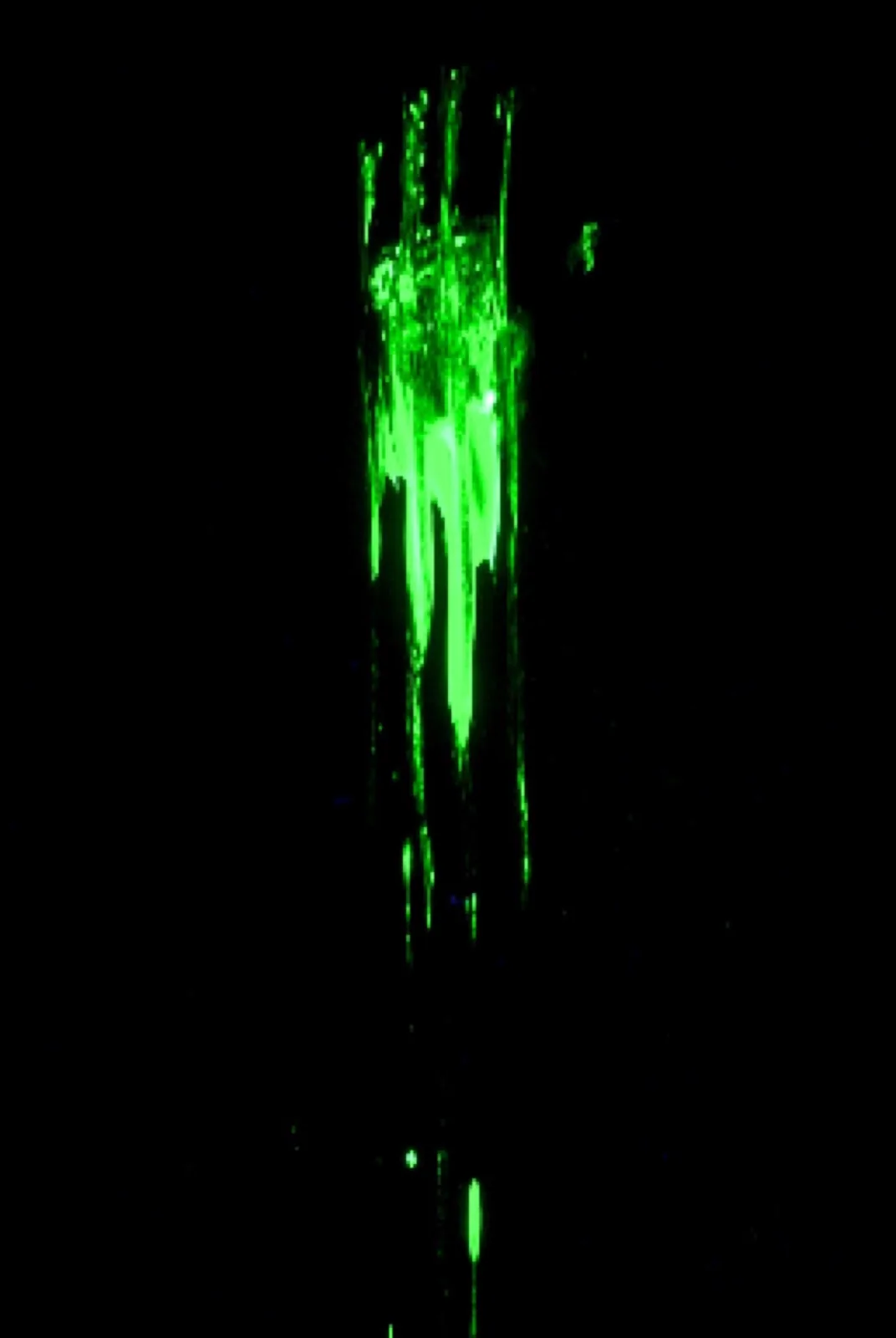 _DSC0252_edited