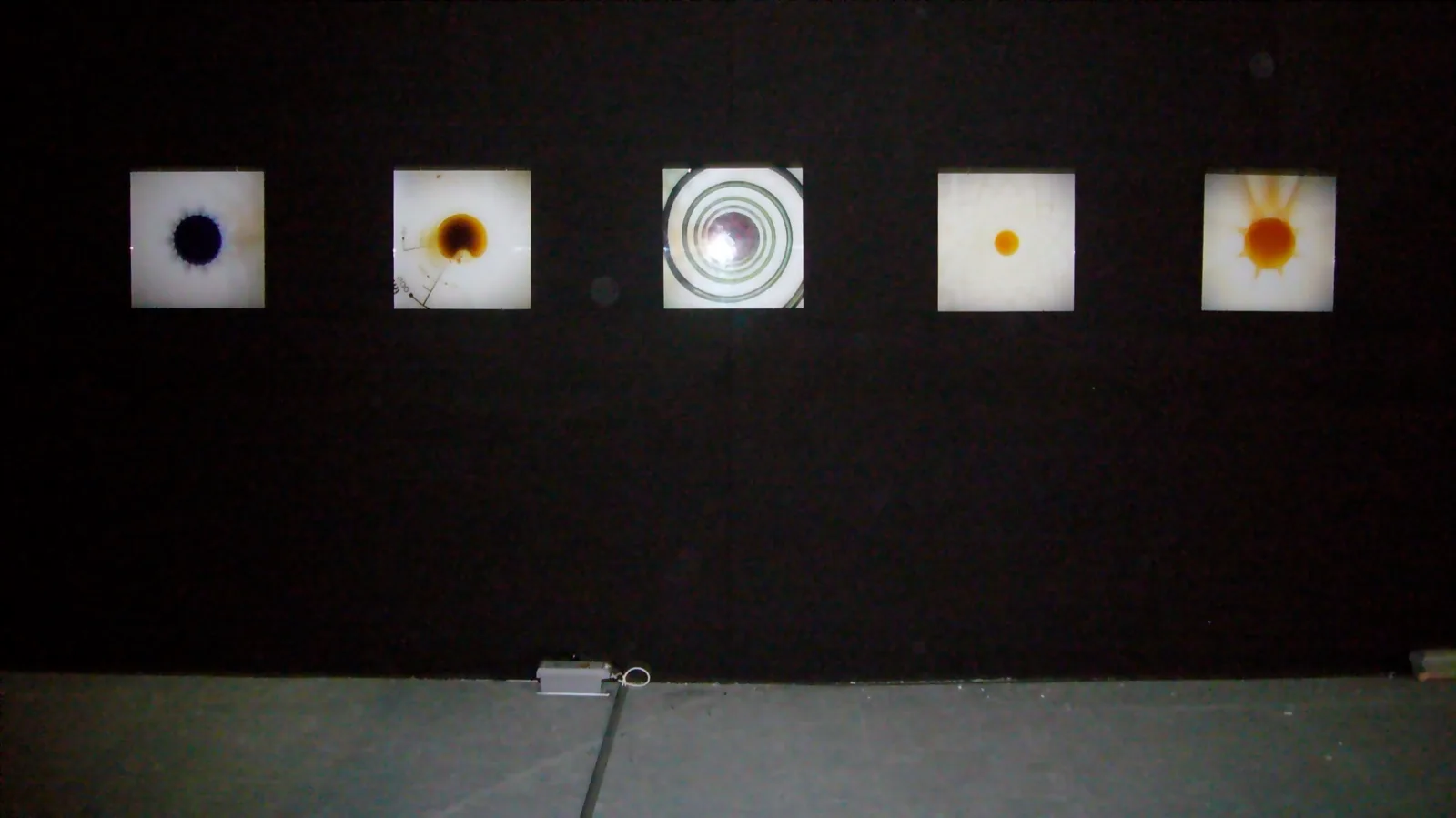 P1000855