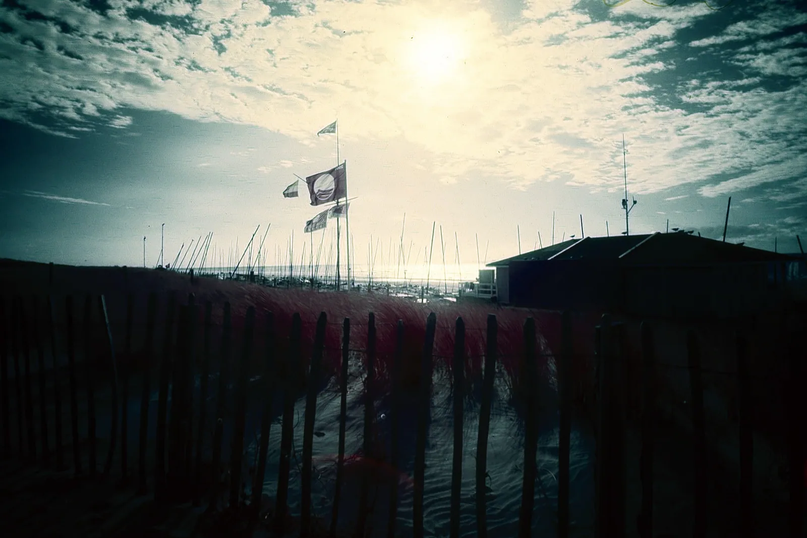 noordwijk boat beach