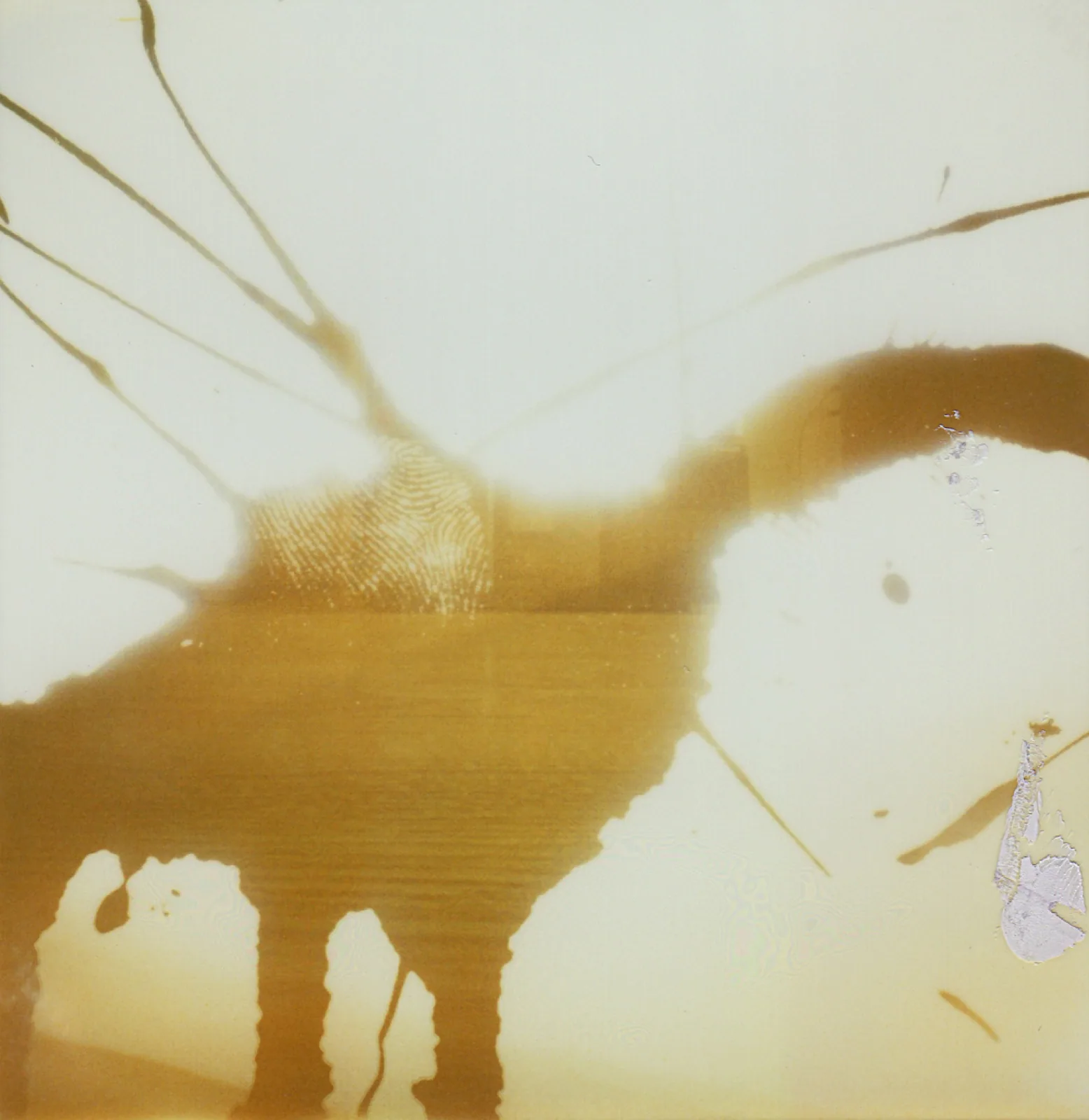 photo ink