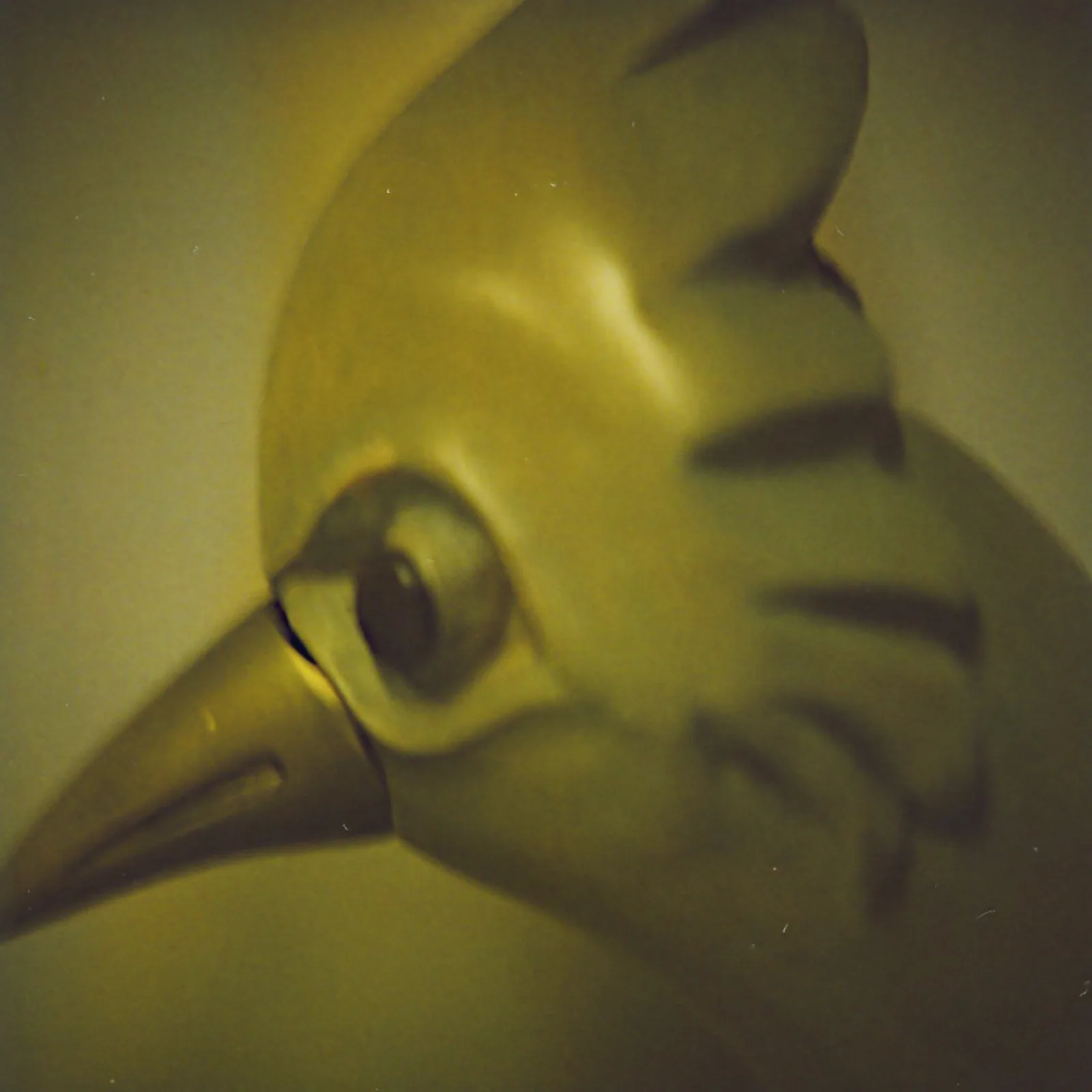 rockbird