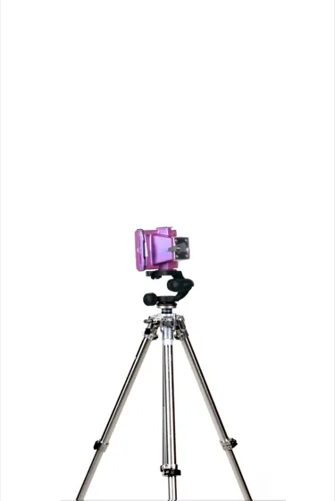 Pink Phanter